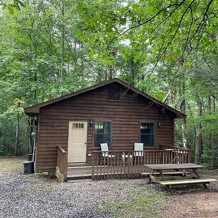 Private Cozy Cabin In The Woods With Great View Murphy Zewnętrze zdjęcie
