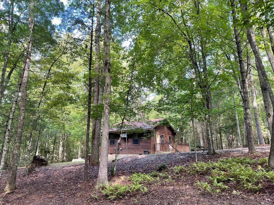 Private Cozy Cabin In The Woods With Great View Murphy Zewnętrze zdjęcie
